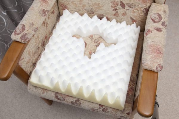 Putnams Bony Parts Cushion