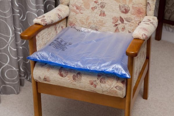 Repose Seat Cushion & Pump