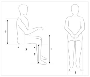 Body measurements for seating