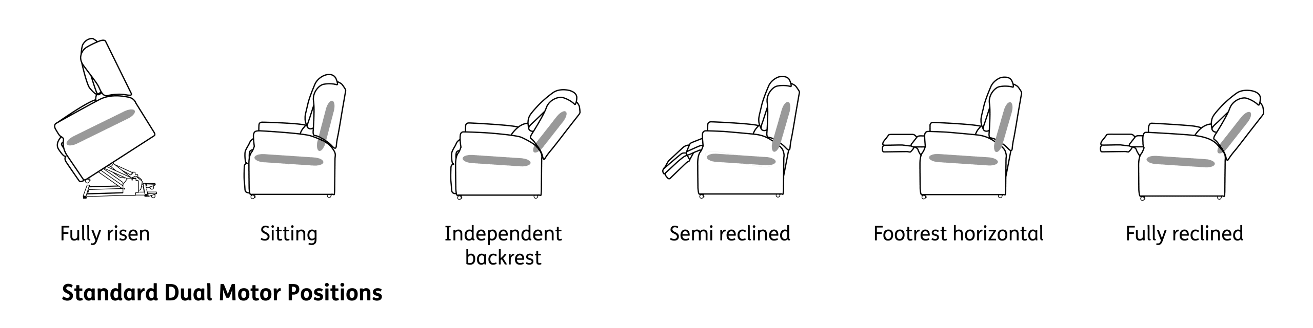 Dual Std Motor Positions