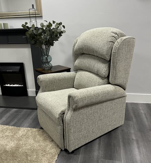 Ashore Simpley Riser Recliner Chair