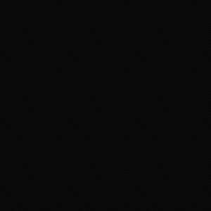 Dartex Black Swatch