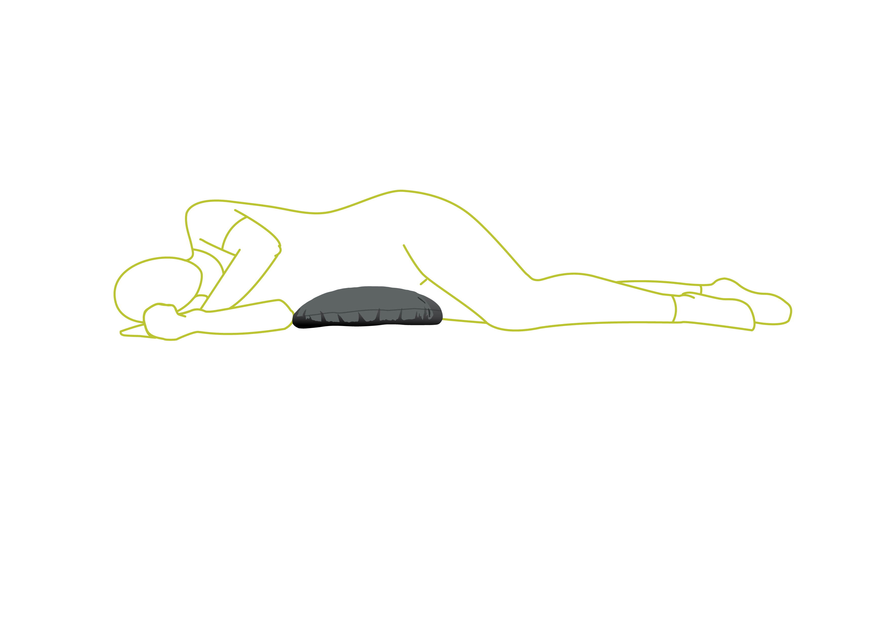 Lejrelet Line Image Oval sideleje med pude-01