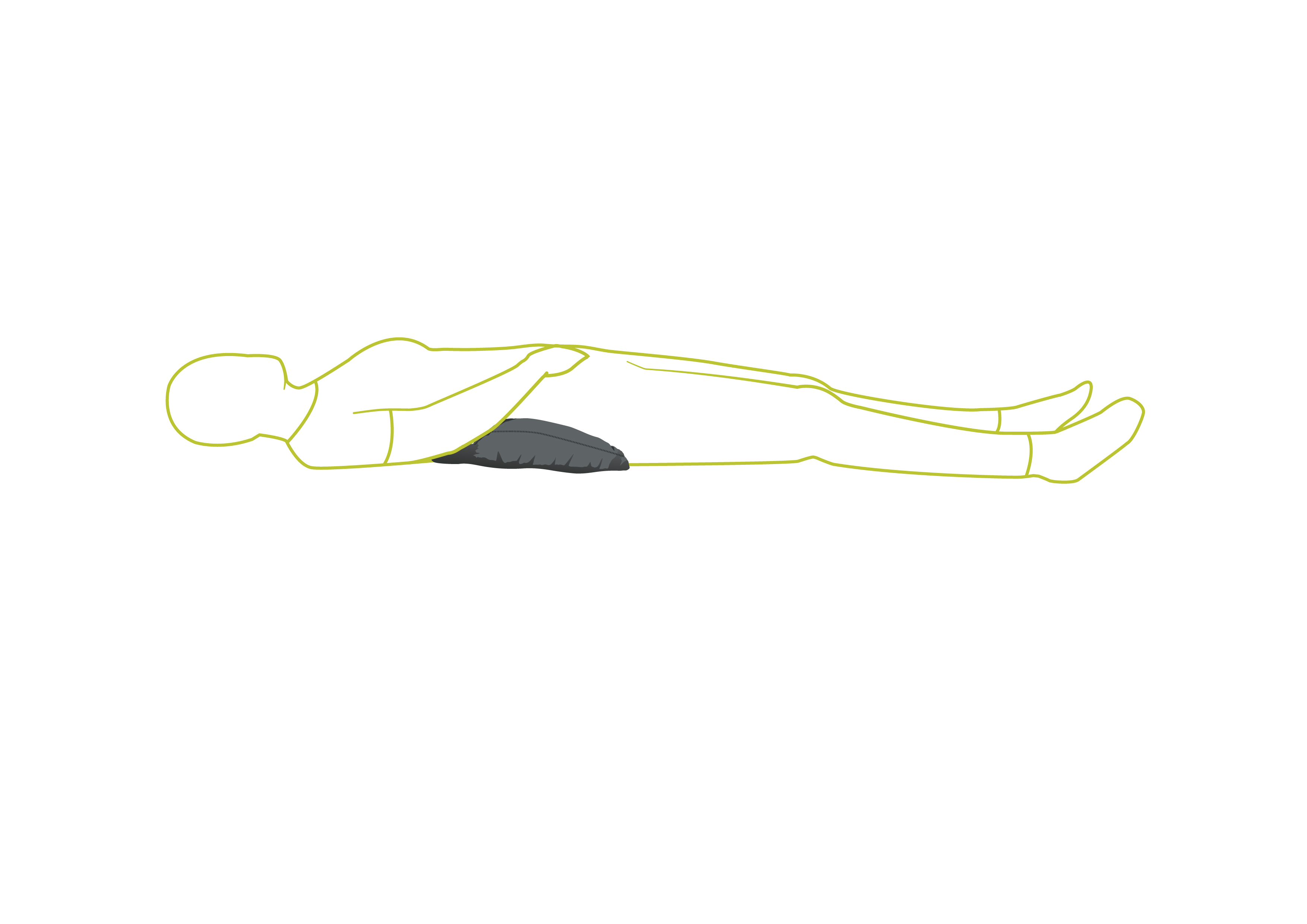 Lejrelet Line Image Oval step 2-01