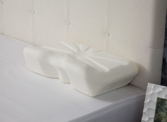 Putnams Pillow Freedom From Neck And Back Pain Felgains