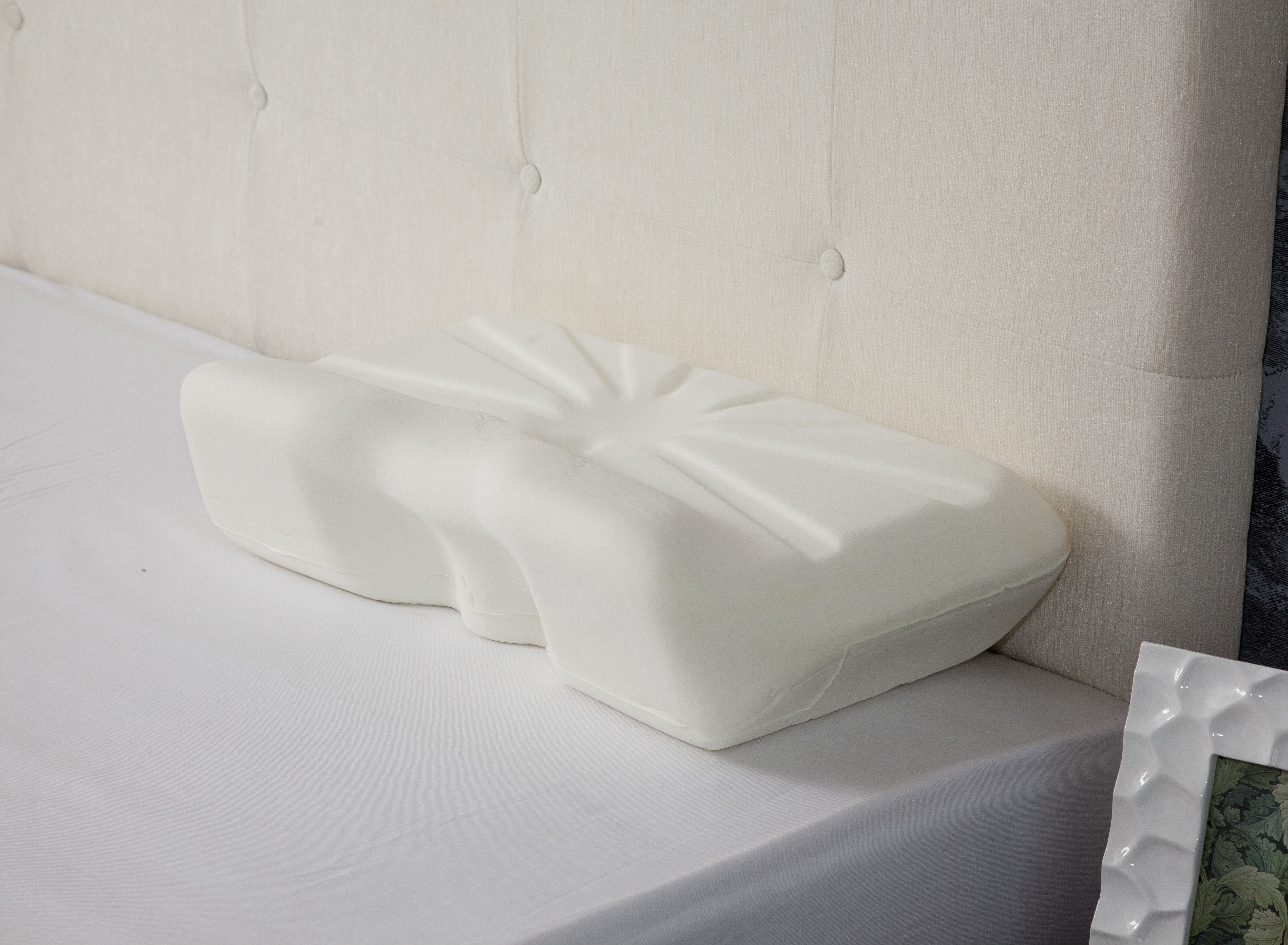 FEL40-615 Putnams Pillow_1 Putnams Pillow
